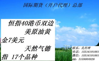 武漢網(wǎng)絡(luò)技術(shù)服務(wù) 數(shù)字浪潮下的城市新引擎