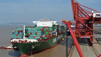 外貿(mào)貨代人警惕 不當(dāng)網(wǎng)絡(luò)技術(shù)服務(wù)行為或面臨刑事拘留風(fēng)險(xiǎn)