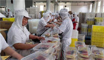 漯河 做強主食產業，構建完善食品產業生態與互聯網銷售新格局